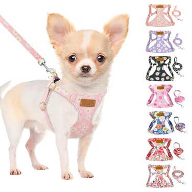 SlowTon No Pull Dog Harness with Leash Soft Lightweight Floral Pattern Puppy Harness Adjustable Pet Harnesses for Small Medium Dogs Pink Daisy XS