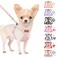 SlowTon No Pull Dog Harness with Leash Soft Lightweight Floral Pattern Puppy Harness Adjustable Pet Harnesses for Small Medium Dogs Pink Daisy XS