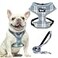 PUPTECK Soft Mesh Dog Harness and Leash Set Pet Puppy Cat Comfort Padded Vest No Pull Harnesses Sky Blue M