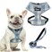 PUPTECK Soft Mesh Dog Harness and Leash Set Pet Puppy Cat Comfort Padded Vest No Pull Harnesses Sky Blue M