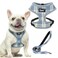 PUPTECK Soft Mesh Dog Harness and Leash Set Pet Puppy Cat Comfort Padded Vest No Pull Harnesses Sky Blue M