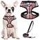 PUPTECK Soft Mesh Dog Harness and Leash Set Pet Puppy Cat Comfort Padded Vest No Pull Harnesses Red Mixed S