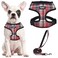 PUPTECK Soft Mesh Dog Harness and Leash Set Pet Puppy Cat Comfort Padded Vest No Pull Harnesses Red Mixed S