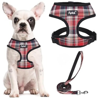 PUPTECK Soft Mesh Dog Harness and Leash Set Pet Puppy Cat Comfort Padded Vest No Pull Harnesses Red Mixed S