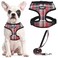 PUPTECK Soft Mesh Dog Harness and Leash Set Pet Puppy Cat Comfort Padded Vest No Pull Harnesses Red Mixed S