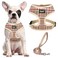 PUPTECK Soft Mesh Dog Harness and Leash Set Pet Puppy Cat Comfort Padded Vest No Pull Harnesses Khaki L