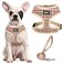 PUPTECK Soft Mesh Dog Harness and Leash Set Pet Puppy Cat Comfort Padded Vest No Pull Harnesses Khaki L
