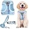 PUPTECK Adjustable Dog Harness Collar and Leash Set Step in No Pull Pet Harness for Small Medium Dogs Puppy and Cats Outdoor Walking Running Soft Mesh Padded Reflective Vest Harnesses Blue S