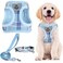 PUPTECK Adjustable Dog Harness Collar and Leash Set Step in No Pull Pet Harness for Small Medium Dogs Puppy and Cats Outdoor Walking Running Soft Mesh Padded Reflective Vest Harnesses Blue S