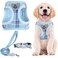 PUPTECK Adjustable Dog Harness Collar and Leash Set Step in No Pull Pet Harness for Small Medium Dogs Puppy and Cats Outdoor Walking Running Soft Mesh Padded Reflective Vest Harnesses Blue S