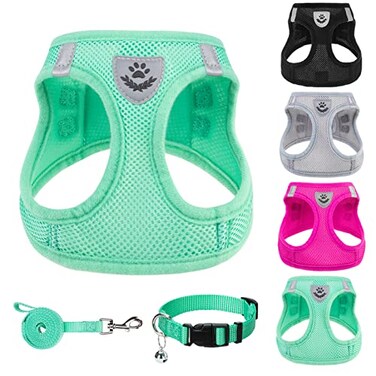 PUPTECK Adjustable Dog Harness Collar and Leash Set Step in No Pull Pet Harness for Small Medium Dogs Puppy and Cats Outdoor Walking Running Soft Mesh Padded Reflective Vest Harnesses Solid Green S