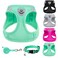 PUPTECK Adjustable Dog Harness Collar and Leash Set Step in No Pull Pet Harness for Small Medium Dogs Puppy and Cats Outdoor Walking Running Soft Mesh Padded Reflective Vest Harnesses Solid Green S