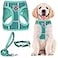 PUPTECK Adjustable Dog Harness Collar and Leash Set Step in No Pull Pet Harness for Small Medium Dogs Puppy and Cats Outdoor Walking Running Soft Mesh Padded Reflective Vest Harnesses Lake Green M