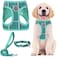 PUPTECK Adjustable Dog Harness Collar and Leash Set Step in No Pull Pet Harness for Small Medium Dogs Puppy and Cats Outdoor Walking Running Soft Mesh Padded Reflective Vest Harnesses Lake Green M