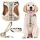PUPTECK Adjustable Dog Harness Collar and Leash Set Step in No Pull Pet Harness for Small Medium Dogs Puppy and Cats Outdoor Walking Running Soft Mesh Padded Reflective Vest Harnesses Beige XXS