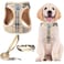 PUPTECK Adjustable Dog Harness Collar and Leash Set Step in No Pull Pet Harness for Small Medium Dogs Puppy and Cats Outdoor Walking Running Soft Mesh Padded Reflective Vest Harnesses Beige XXS