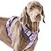 AUNZO Adjustable Extra Large Dog Vest Harness NoPull Easy Walking Cute Pet Harness with Tribal Pattern Breathable Oxford Material 2 Leash Clips and 3 Buckles German Shepherd Rottweiler XL Size