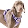 AUNZO Adjustable Extra Large Dog Vest Harness NoPull Easy Walking Cute Pet Harness with Tribal Pattern Breathable Oxford Material 2 Leash Clips and 3 Buckles German Shepherd Rottweiler XL Size