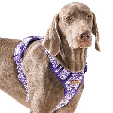 AUNZO Adjustable Extra Large Dog Vest Harness NoPull Easy Walking Cute Pet Harness with Tribal Pattern Breathable Oxford Material 2 Leash Clips and 3 Buckles German Shepherd Rottweiler XL Size