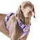 AUNZO Adjustable Extra Large Dog Vest Harness NoPull Easy Walking Cute Pet Harness with Tribal Pattern Breathable Oxford Material 2 Leash Clips and 3 Buckles German Shepherd Rottweiler XL Size