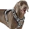 AUNZO Heavy Duty No Pull Dog Harness for Large Dogs Labrador Golden Retriever German Shepherd Adjustable Soft Padded Dog Vest Breathable Pet Oxford Vest with Easy Control Handle Black Ethnic L