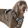 AUNZO Heavy Duty No Pull Dog Harness for Large Dogs Labrador Golden Retriever German Shepherd Adjustable Soft Padded Dog Vest Breathable Pet Oxford Vest with Easy Control Handle Black Ethnic L