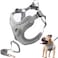 SAEGYPET Dog Harness with Leash Set Reflective Strips Adjustable Step in with Breathable Padded Vest Harness for Small Large Dogs Training and Running S Gray