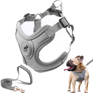 SAEGYPET Dog Harness with Leash Set Reflective Strips Adjustable Step in with Breathable Padded Vest Harness for Small Large Dogs Training and Running S Gray