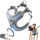 SAEGYPET Dog Harness with Leash Set No Pull Adjustable Step in Collars Harness with Breathable Padded Vest for Small Medium Large Dogs Training and RunningS Blue