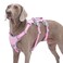 Huntboo Escape Proof Dog Harness No Pull Reflective Harness with Lift Handle Adjustable Pet Vest with Front and Back Leash Clips for Small Medium Large Dogs Walking Hiking Training PinkL