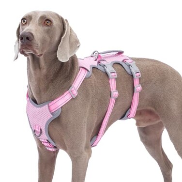 Huntboo Escape Proof Dog Harness No Pull Reflective Harness with Lift Handle Adjustable Pet Vest with Front and Back Leash Clips for Small Medium Large Dogs Walking Hiking Training PinkL