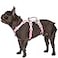 Huntboo Escape Proof Dog Harness Escape Artist Harness Fully Reflective Harness with Padded Handle BreathableDurable Adjustable Vest for Medium Dogs Walking Training and Running Gear PinkM