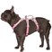 Huntboo Escape Proof Dog Harness Escape Artist Harness Fully Reflective Harness with Padded Handle BreathableDurable Adjustable Vest for Medium Dogs Walking Training and Running Gear PinkM