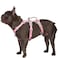Huntboo Escape Proof Dog Harness Escape Artist Harness Fully Reflective Harness with Padded Handle BreathableDurable Adjustable Vest for Medium Dogs Walking Training and Running Gear PinkM