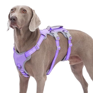 Huntboo Escape Proof Dog Harness No Pull Reflective Harness with Lift HandleAdjustable Pet Vest with Front and Back Leash Clips for Small Medium Large Dogs Walking Hiking TrainingLavender PurpleL