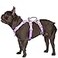 Huntboo Escape Proof HarnessNo Slip Dog Harness Escape ProofFully Reflective Harness with HandleBreathableDurableAdjustable Vest for Medium Dogs WalkingTraining Running GearLavender PurpleM