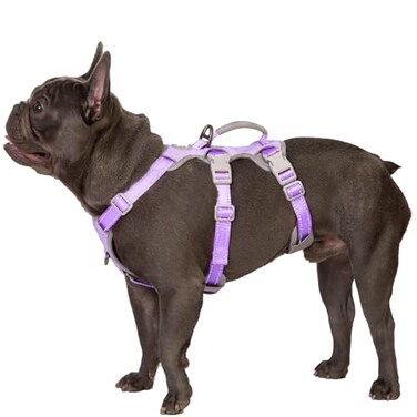 Huntboo Escape Proof HarnessNo Slip Dog Harness Escape ProofFully Reflective Harness with HandleBreathableDurableAdjustable Vest for Medium Dogs WalkingTraining Running GearLavender PurpleM