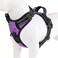 PHOEPET No Pull Dog Harnesses for Small Puppies Reflective Adjustable Front Clip Vest with 2 Metal Leash Attachment Hooks Soft HandleXS Purple