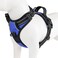 PHOEPET No Pull Dog Harnesses for Small Puppies Reflective Adjustable Front Clip Vest with 2 Metal Leash Attachment Hooks Soft Handle Over The Head DesignS Royal Blue