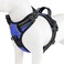 PHOEPET No Pull Dog Harnesses for Small Puppies Reflective Adjustable Front Clip Vest with 2 Metal Leash Attachment Hooks Soft Handle Over The Head DesignS Royal Blue