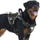 AUROTH Tactical Dog Harness for Small Medium Large Dogs No Pull Adjustable Pet Harness Reflective K9 Working Training Easy Control Pet Vest Military Service Dog Harnesses L Black Ink