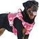 Auroth Tactical Pet Harness for Small Medium Large Dogs No Pull Adjustable Reflective K9 Working Training Easy Control Vest Military Service Dog Large Pink Camo