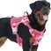 Auroth Tactical Pet Harness for Small Medium Large Dogs No Pull Adjustable Reflective K9 Working Training Easy Control Vest Military Service Dog Large Pink Camo