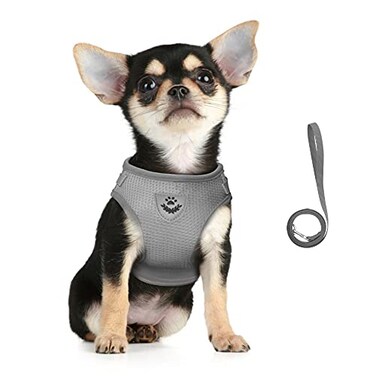 FEimaX Dog Harness and Leash Set for Walking Soft Mesh Adjustable Easy Control Lightweight Cat Vest Harnesses with Reflective Strips Escape Proof Small Dogs Cats Vests Grey Large