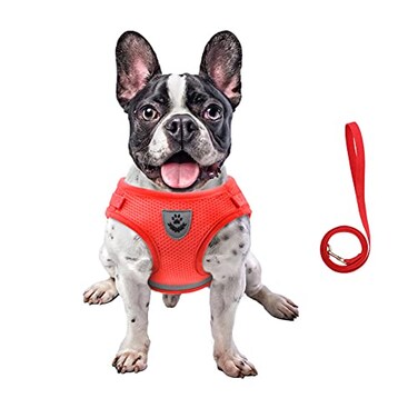 FEimaX Dog Harness and Leash Set for Walking Soft Mesh Adjustable Easy Control Lightweight Cat Vest Harnesses with Reflective Strips Escape Proof Small Dogs Cats Vests Red Large