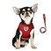 FEimaX Dog Harness and Leash Set for Walking Soft Mesh Adjustable Easy Control Lightweight Cat Vest Harnesses with Reflective Strips Escape Proof Small Dogs Cats Vests Red Medium