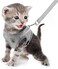 FEimaX Dog Harness and Leash Set for Walking Soft Mesh Adjustable Easy Control Lightweight Cat Vest Harnesses with Reflective Strips Escape Proof Small Dogs Cats Vests Grey XSmall