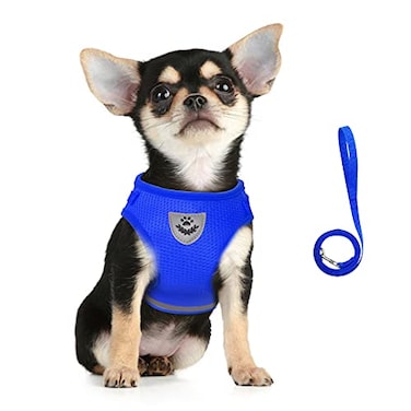 FEimaX Dog Harness and Leash Set for Walking Soft Mesh Adjustable Easy Control Lightweight Cat Vest Harnesses with Reflective Strips Escape Proof Small Dogs Cats Vests Blue XSmall