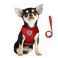 FEimaX Dog Harness and Leash Set for Walking Soft Mesh Adjustable Easy Control Lightweight Cat Vest Harnesses with Reflective Strips Escape Proof Small Dogs Cats Vests Red Small