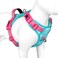 PHOEPET No Pull Dog Harness Unique Colors Reflective Adjustable Dog Vest with Soft Training Handle Metal Clips for Small Medium Large Dogs Mint Green Base Pink StrapsM